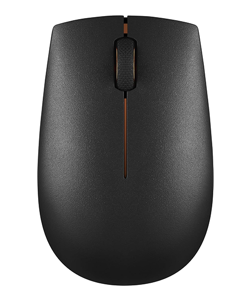 Lenovo 300 Wireless Compact Mouse