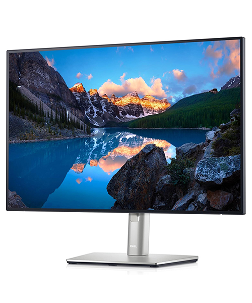 Used Dell U2421E UltraSharp 24 USB-C Hub Monitor